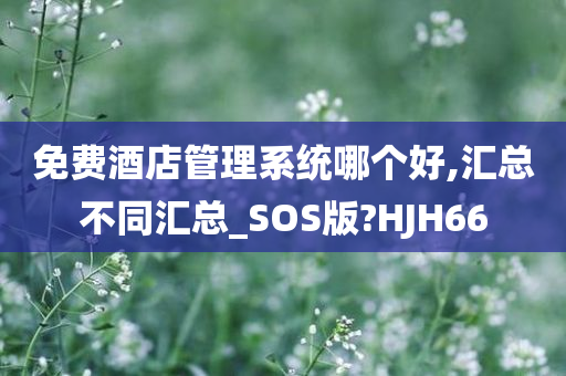 免费酒店管理系统哪个好,汇总不同汇总_SOS版?HJH66