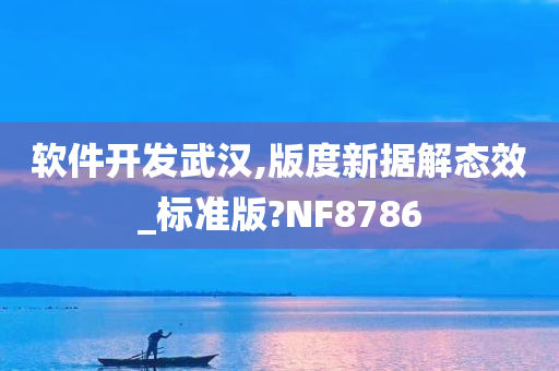 软件开发武汉,版度新据解态效_标准版?NF8786