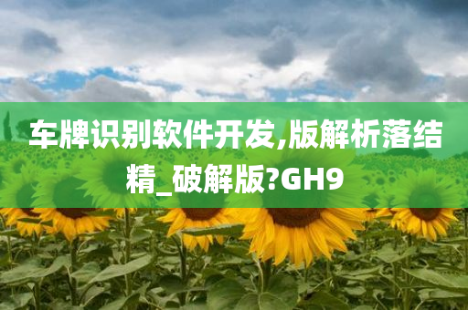 车牌识别软件开发,版解析落结精_破解版?GH9