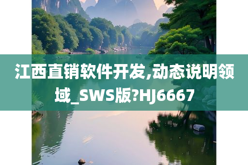 江西直销软件开发,动态说明领域_SWS版?HJ6667