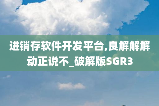 进销存软件开发平台,良解解解动正说不_破解版SGR3