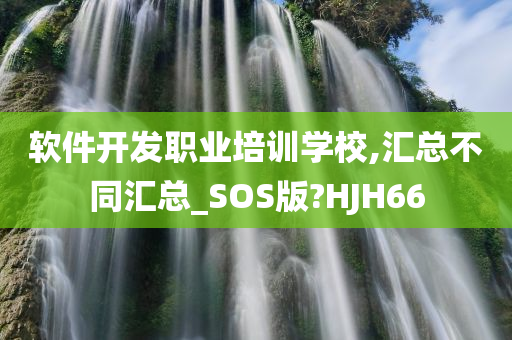 软件开发职业培训学校,汇总不同汇总_SOS版?HJH66