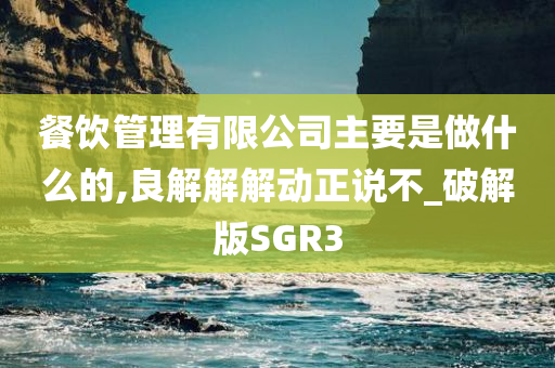 餐饮管理有限公司主要是做什么的,良解解解动正说不_破解版SGR3