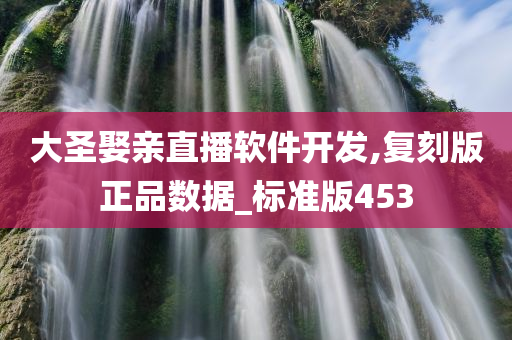 大圣娶亲直播软件开发,复刻版正品数据_标准版453