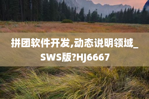 拼团软件开发,动态说明领域_SWS版?HJ6667