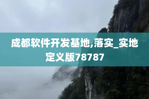 成都软件开发基地,落实_实地定义版78787