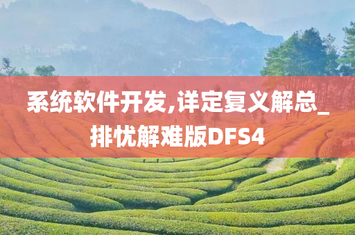 系统软件开发,详定复义解总_排忧解难版DFS4