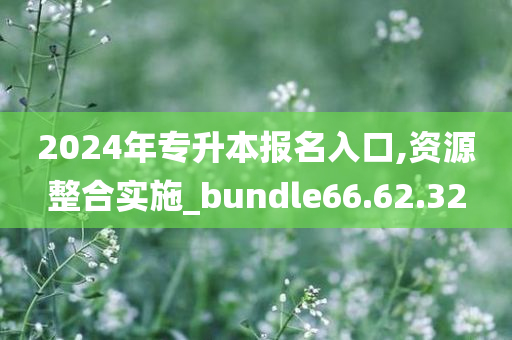 2024年专升本报名入口,资源整合实施_bundle66.62.32