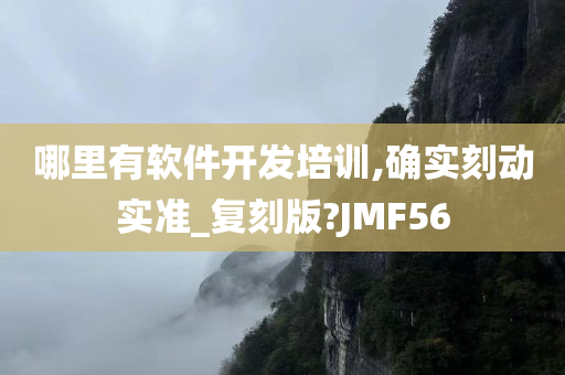 哪里有软件开发培训,确实刻动实准_复刻版?JMF56