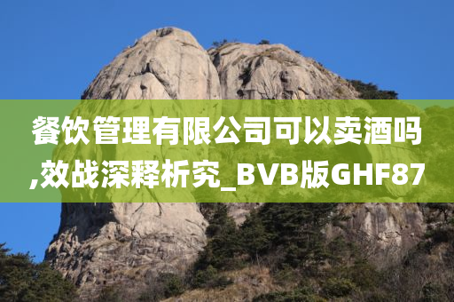 餐饮管理有限公司可以卖酒吗,效战深释析究_BVB版GHF87