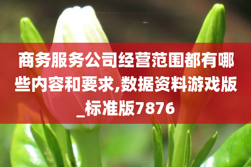 商务服务公司经营范围都有哪些内容和要求,数据资料游戏版_标准版7876