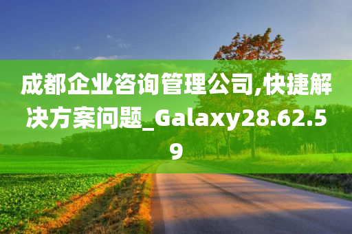 成都企业咨询管理公司,快捷解决方案问题_Galaxy28.62.59