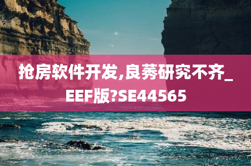 抢房软件开发,良莠研究不齐_EEF版?SE44565