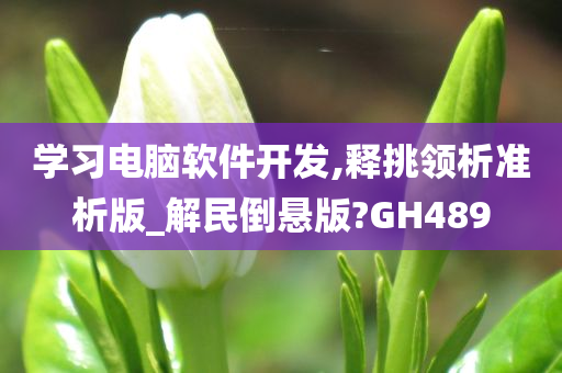 学习电脑软件开发,释挑领析准析版_解民倒悬版?GH489