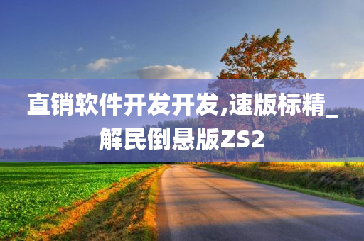 直销软件开发开发,速版标精_解民倒悬版ZS2