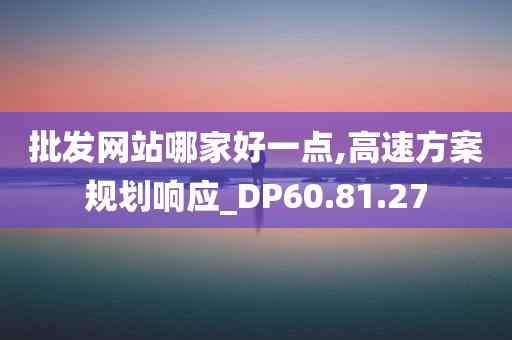 批发网站哪家好一点,高速方案规划响应_DP60.81.27