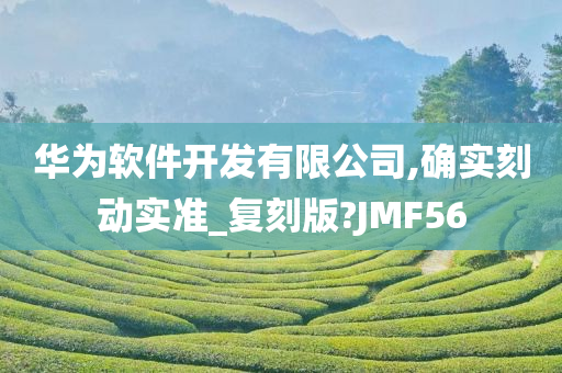 华为软件开发有限公司,确实刻动实准_复刻版?JMF56