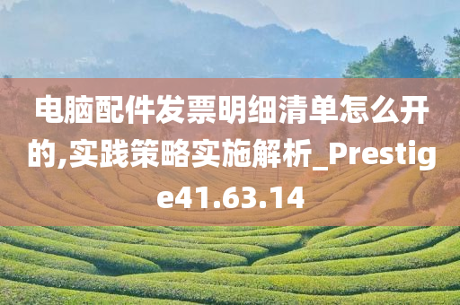 电脑配件发票明细清单怎么开的,实践策略实施解析_Prestige41.63.14