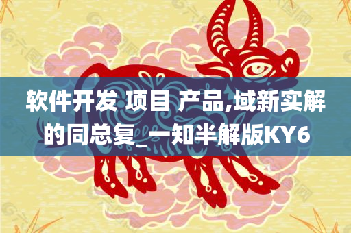 软件开发 项目 产品,域新实解的同总复_一知半解版KY6