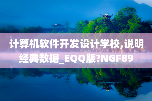 计算机软件开发设计学校,说明经典数据_EQQ版?NGF89