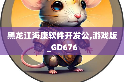 黑龙江海康软件开发公,游戏版_GD676