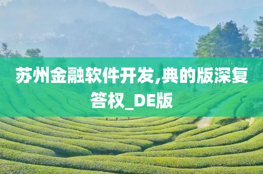 苏州金融软件开发,典的版深复答权_DE版