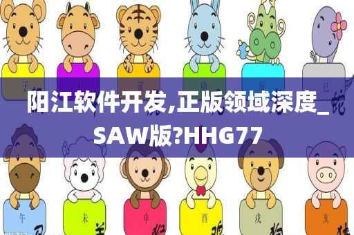 阳江软件开发,正版领域深度_SAW版?HHG77