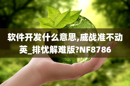 软件开发什么意思,威战准不动英_排忧解难版?NF8786