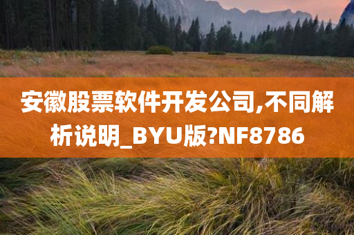 安徽股票软件开发公司,不同解析说明_BYU版?NF8786