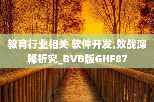 教育行业相关 软件开发,效战深释析究_BVB版GHF87