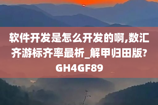 软件开发是怎么开发的啊,数汇齐游标齐率最析_解甲归田版?GH4GF89