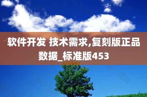 软件开发 技术需求,复刻版正品数据_标准版453