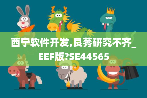 西宁软件开发,良莠研究不齐_EEF版?SE44565