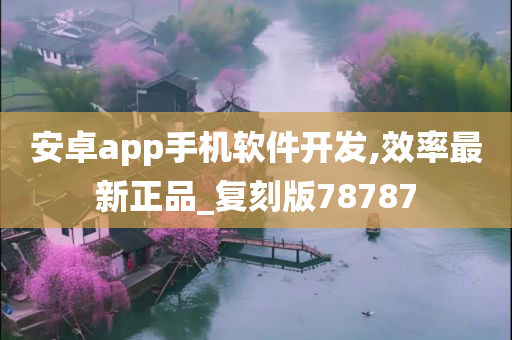 安卓app手机软件开发,效率最新正品_复刻版78787