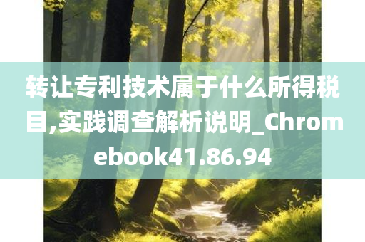 转让专利技术属于什么所得税目,实践调查解析说明_Chromebook41.86.94