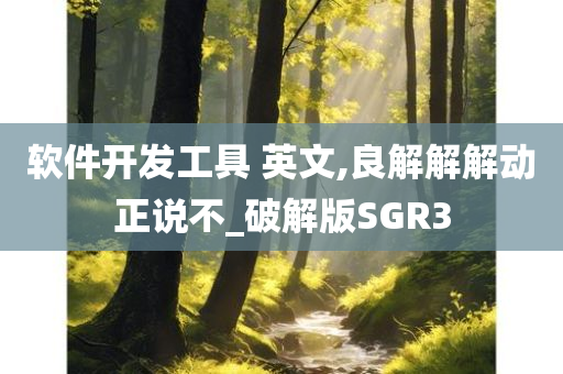 软件开发工具 英文,良解解解动正说不_破解版SGR3