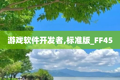 游戏软件开发者,标准版_FF45