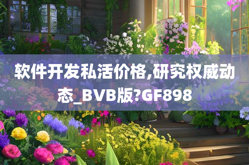 软件开发私活价格,研究权威动态_BVB版?GF898