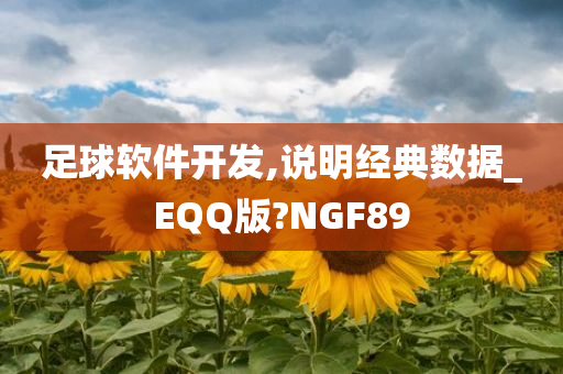 足球软件开发,说明经典数据_EQQ版?NGF89