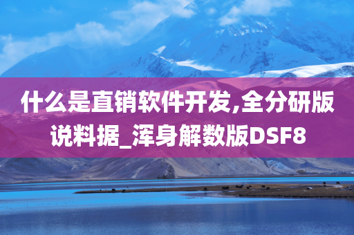 什么是直销软件开发,全分研版说料据_浑身解数版DSF8