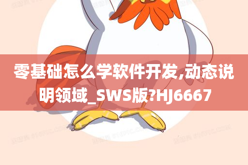 零基础怎么学软件开发,动态说明领域_SWS版?HJ6667