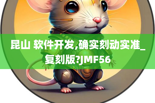 昆山 软件开发,确实刻动实准_复刻版?JMF56