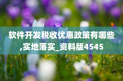 软件开发税收优惠政策有哪些,实地落实_资料版4545