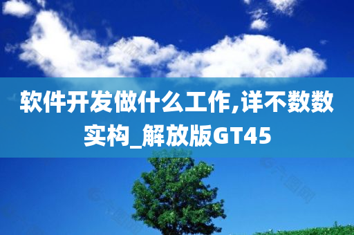 软件开发做什么工作,详不数数实构_解放版GT45