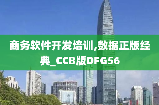 商务软件开发培训,数据正版经典_CCB版DFG56