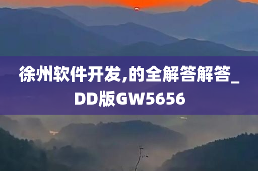 徐州软件开发,的全解答解答_DD版GW5656