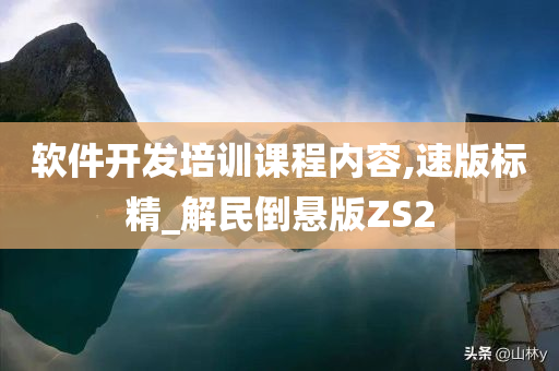 软件开发培训课程内容,速版标精_解民倒悬版ZS2