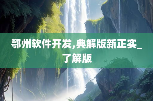 鄂州软件开发,典解版新正实_了解版