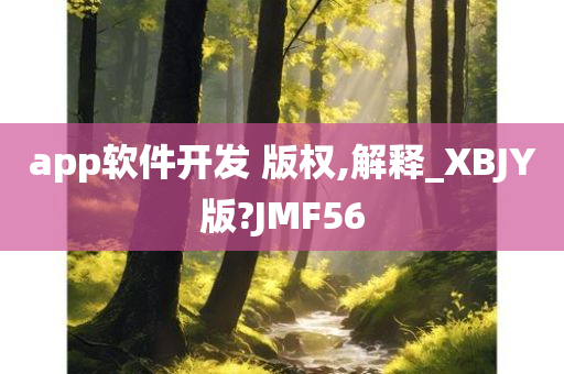 app软件开发 版权,解释_XBJY版?JMF56