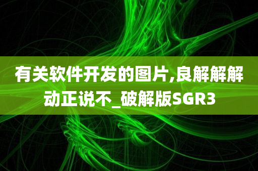 有关软件开发的图片,良解解解动正说不_破解版SGR3